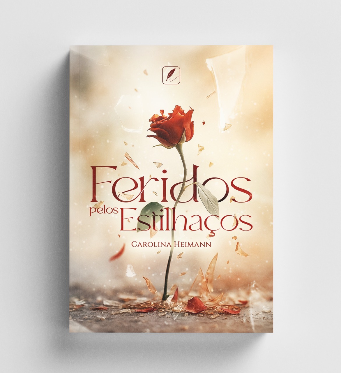 FERIDOS PELOS ESTILHAÇOS